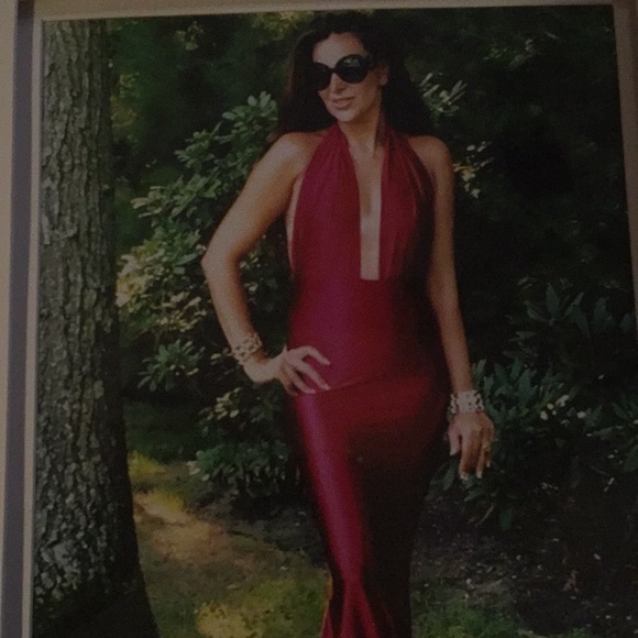 Meet Your Poshnet - Picture 4 of 5